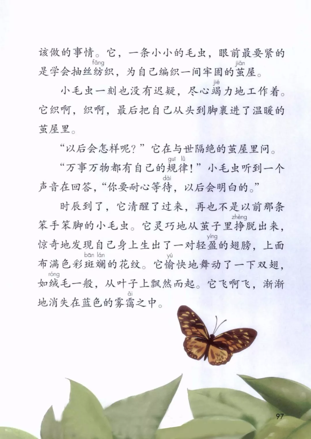 《小毛蟲》2.webp